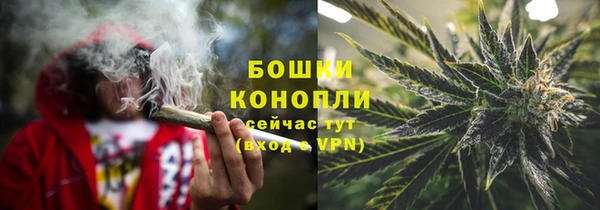 прущие крисы Няндома