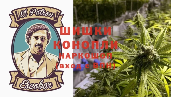 прущие крисы Няндома