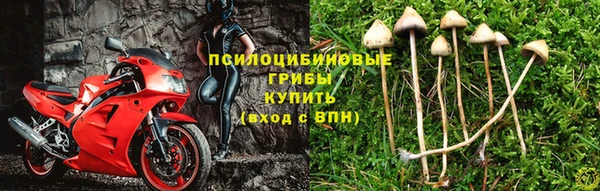 винт Вязники