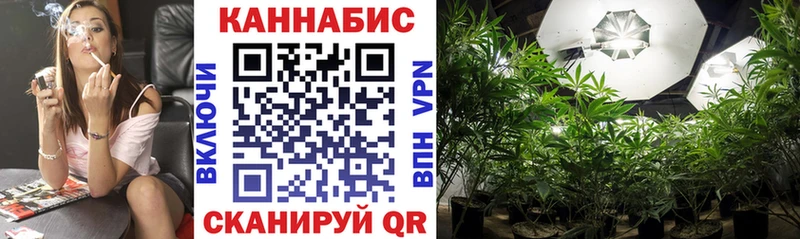 Каннабис SATIVA & INDICA  как найти   Остров 